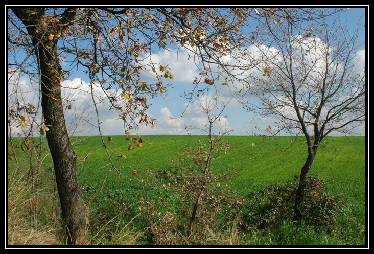 Cerveteri: via del Sepolcro