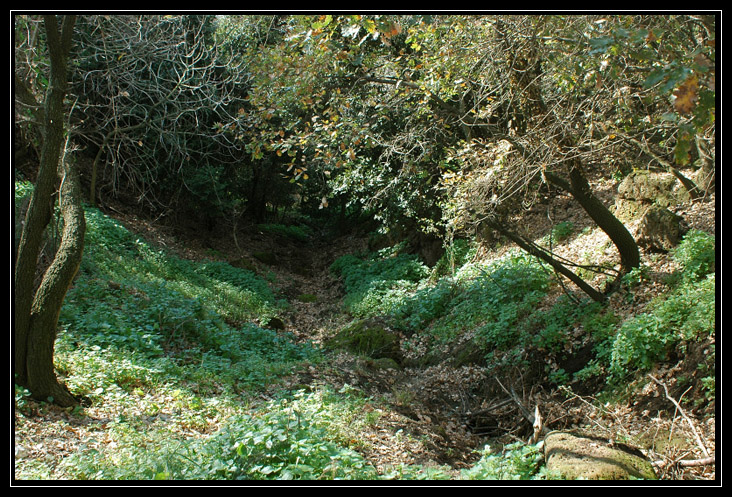 Cerveteri: via del Sepolcro