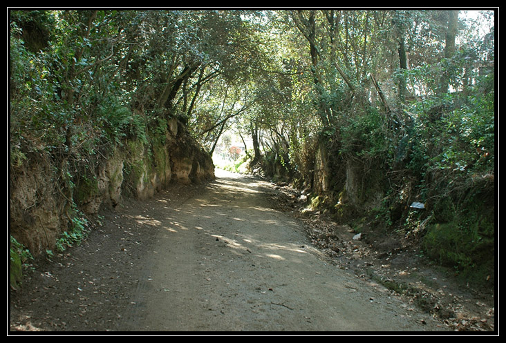 Cerveteri: via del Sepolcro