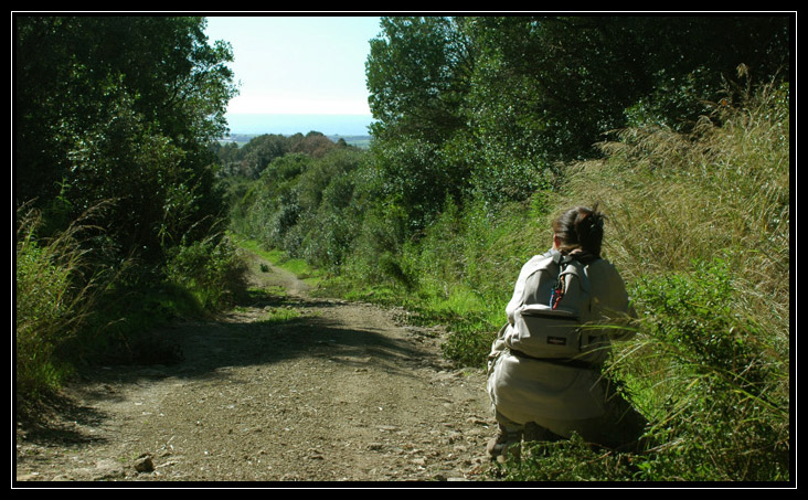 Monti Ceriti