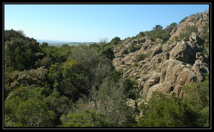 Monti Ceriti