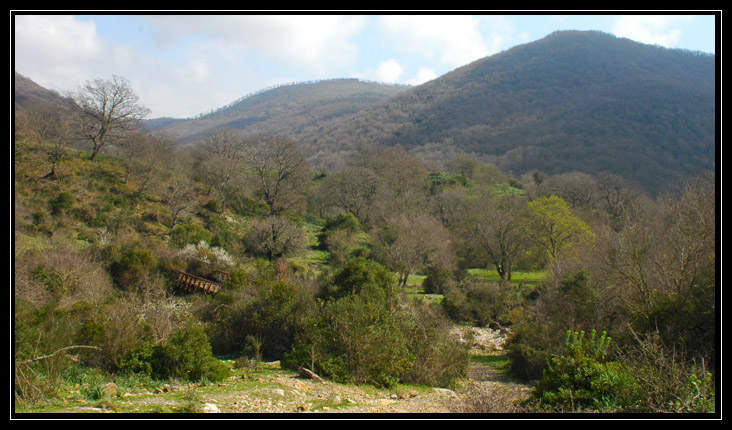 Monti della Tolfa: sentiero del biancone