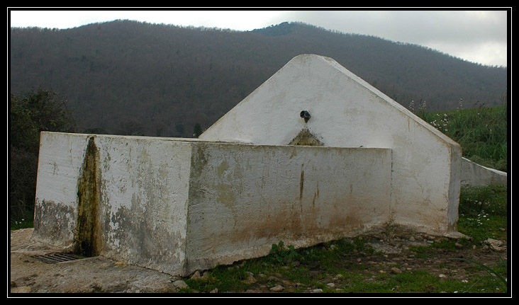 Monti della Tolfa: sentiero del biancone