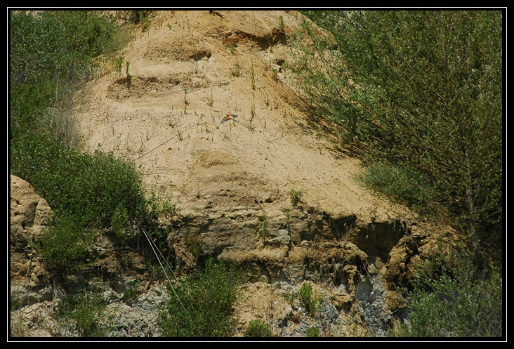 Castel di Guido (RM): un posto inaspettato