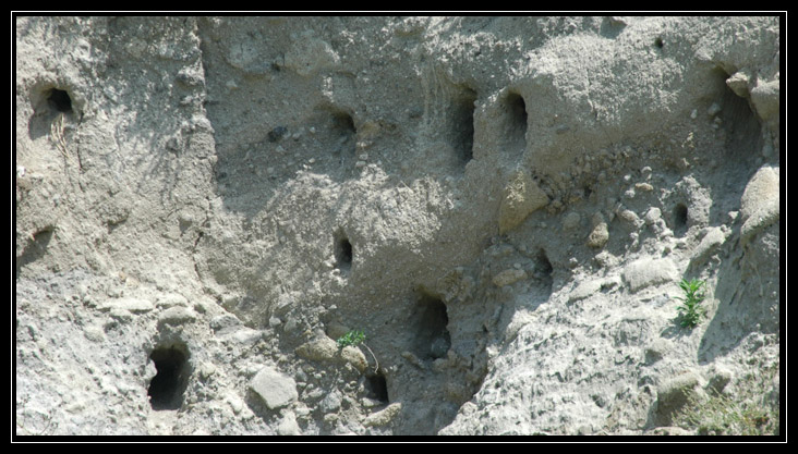 Castel di Guido (RM): un posto inaspettato