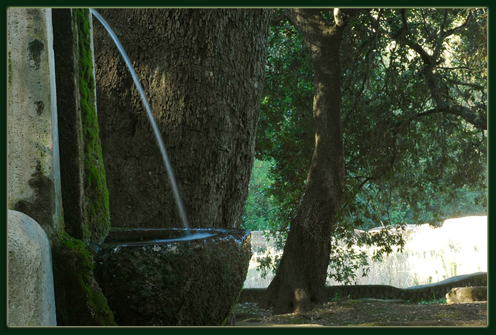 Ostia: la Villa di Plinio e la Via Severiana