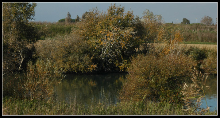 La riva del Tevere