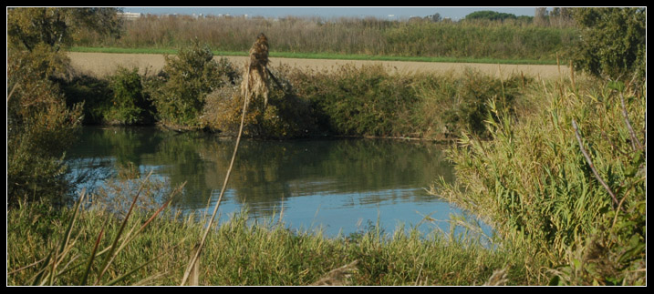 La riva del Tevere