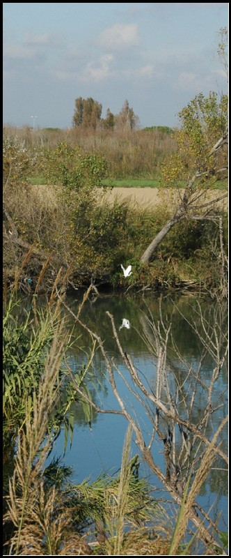 La riva del Tevere