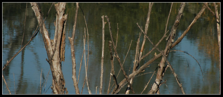 La riva del Tevere