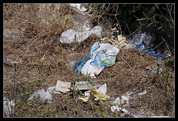 L''anti-natura, ovvero, il terreno di caccia della zingara