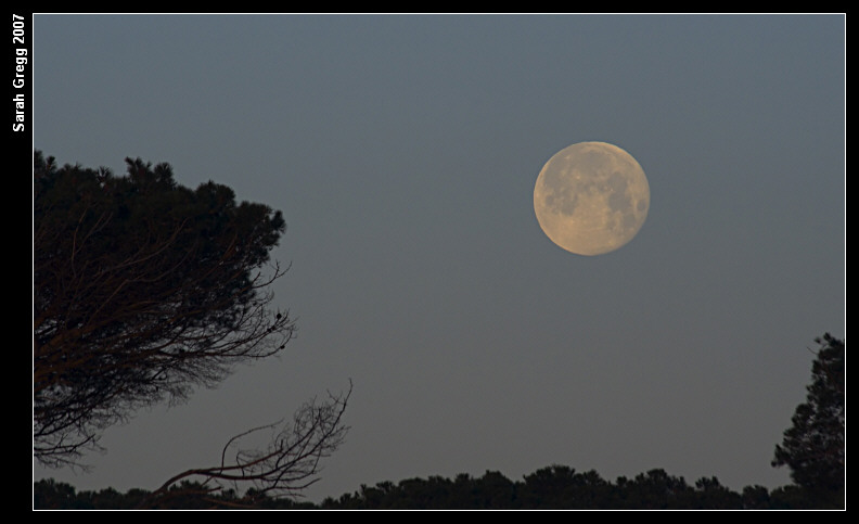 Una luna matutina