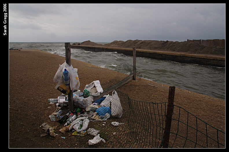 Canale dei Pescatori, Ostia, acqua verde, acqua torbida