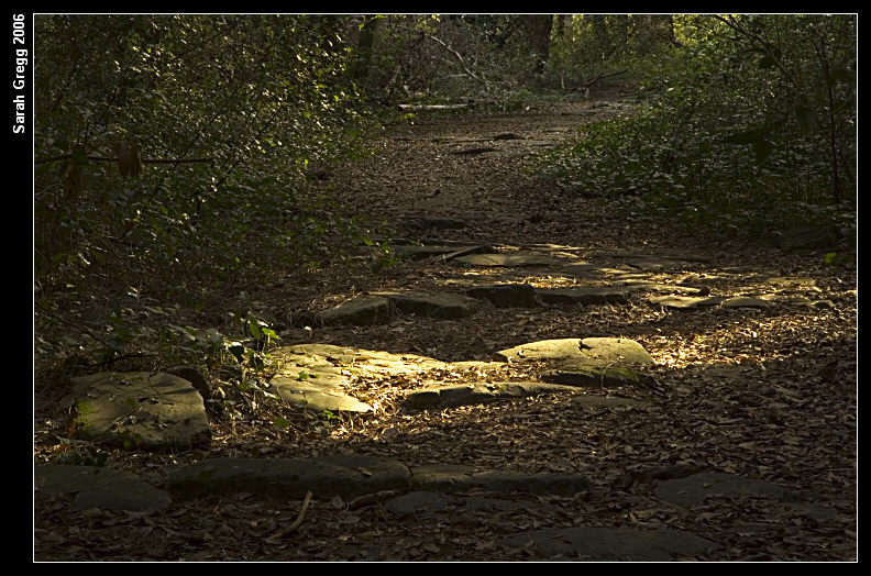 La Via Severiana, dall''ombra verso la luce