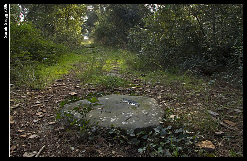 La Via Severiana, dall''ombra verso la luce