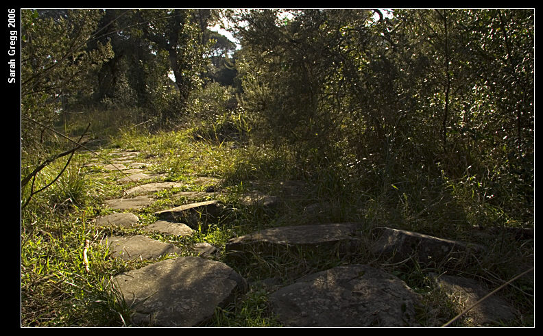 La Via Severiana, dall''ombra verso la luce