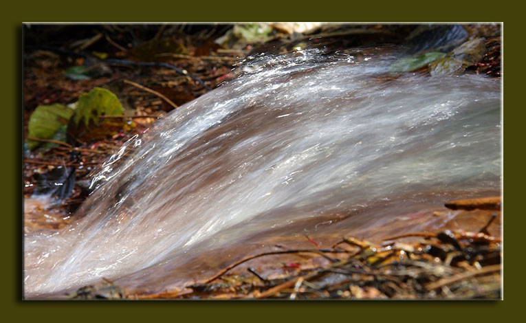 Ritorno al torrente