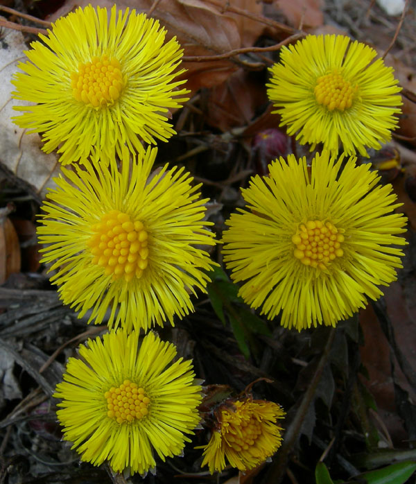 Aria di primavera...