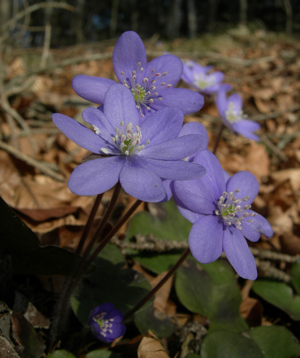 Aria di primavera...