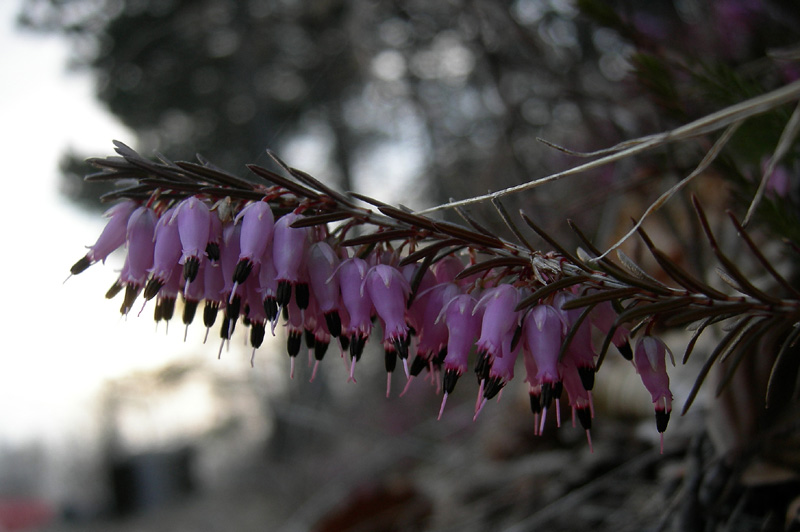 Aria di primavera...