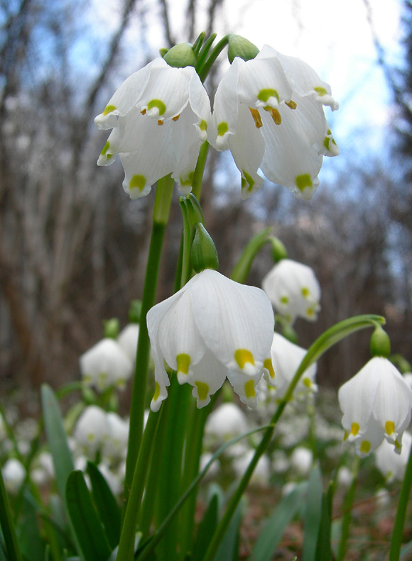 Aria di primavera...