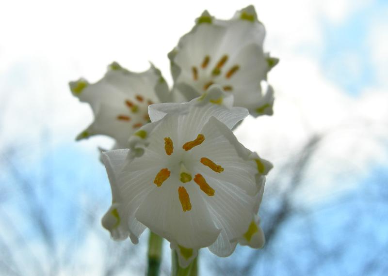 Aria di primavera...