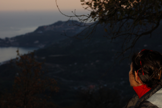 2. Le colline di Taormina: Aphyllophorales e molto altro