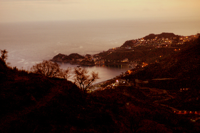 2. Le colline di Taormina: Aphyllophorales e molto altro