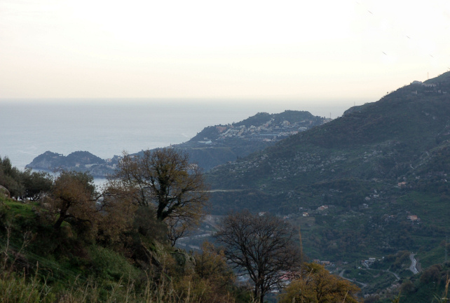 2. Le colline di Taormina: Aphyllophorales e molto altro