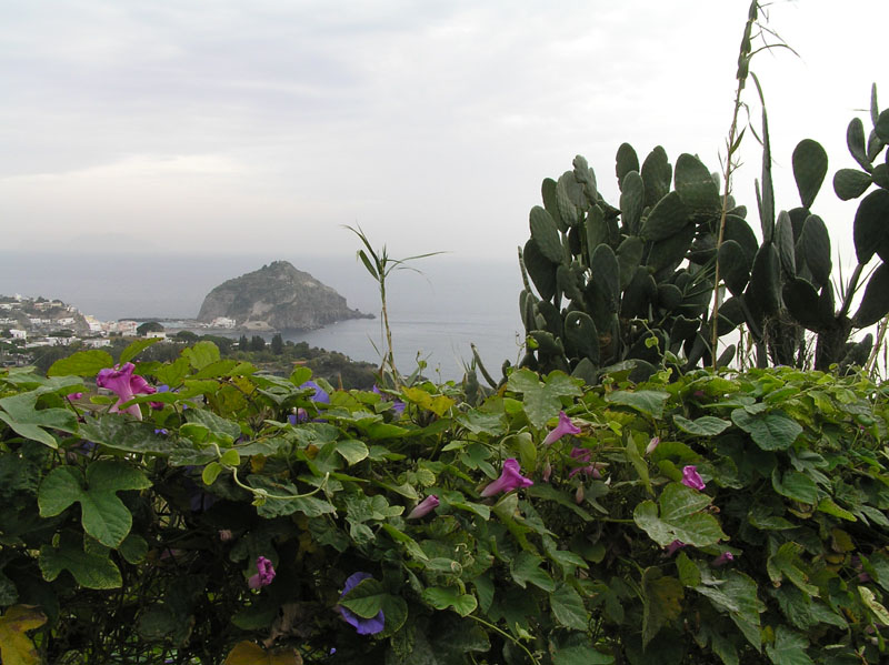 Ischia ........