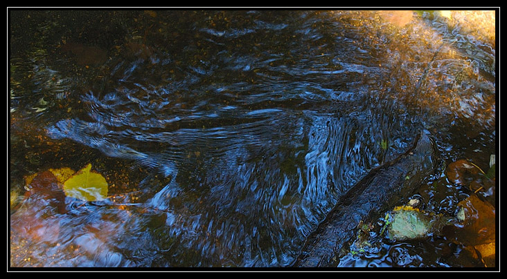 Esperimenti... d''acqua