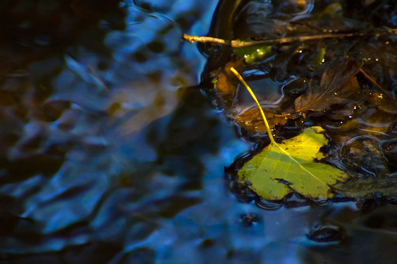 Esperimenti... d''acqua