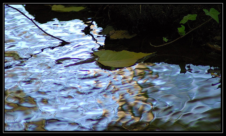 Esperimenti... d''acqua