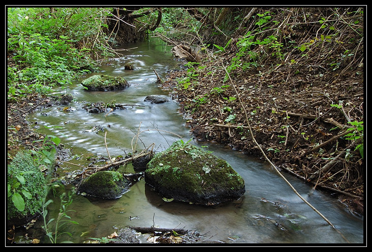 Esperimenti... d''acqua