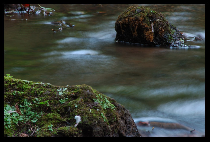 Esperimenti... d''acqua