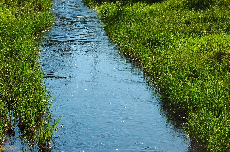 Esperimenti... d''acqua