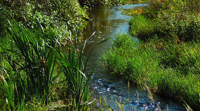 Esperimenti... d''acqua