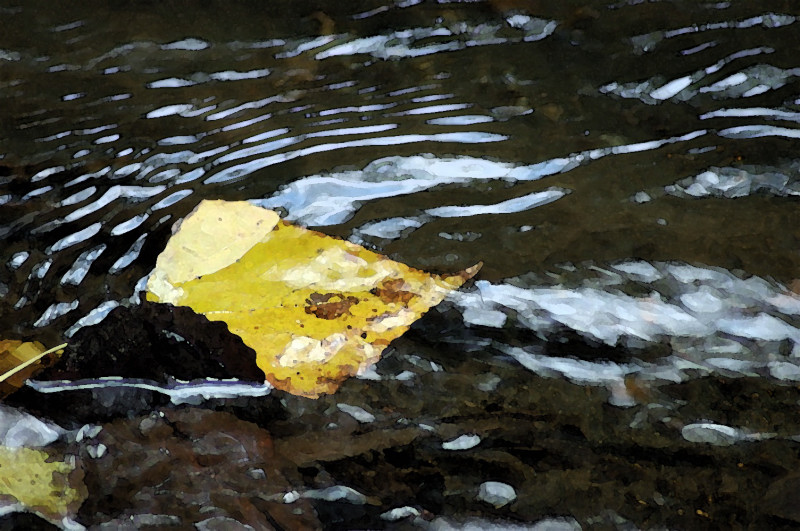 Dipingere con l''acqua