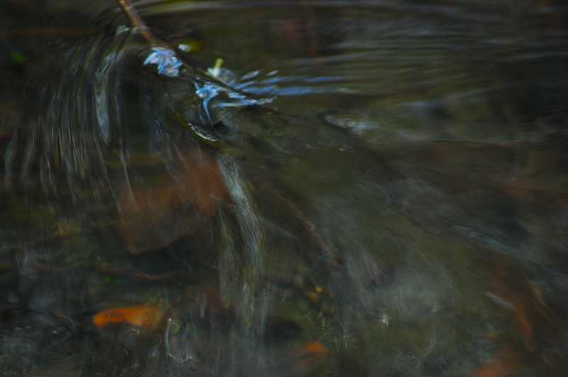 Dipingere con...l''acqua