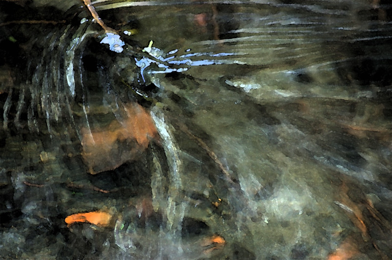 Dipingere con l''acqua