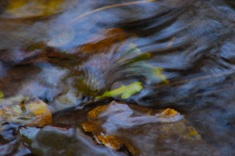 Dipingere con...l''acqua