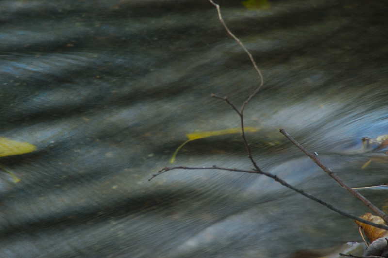 Dipingere con...l''acqua