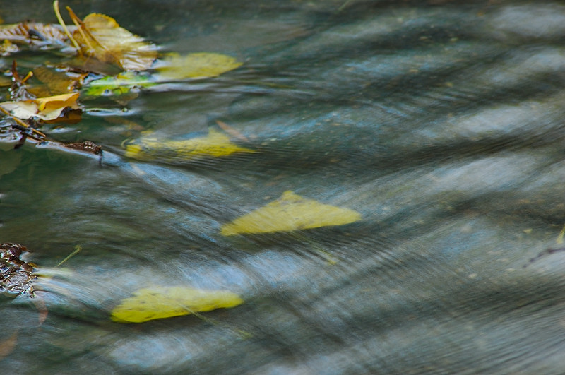 Dipingere con...l''acqua