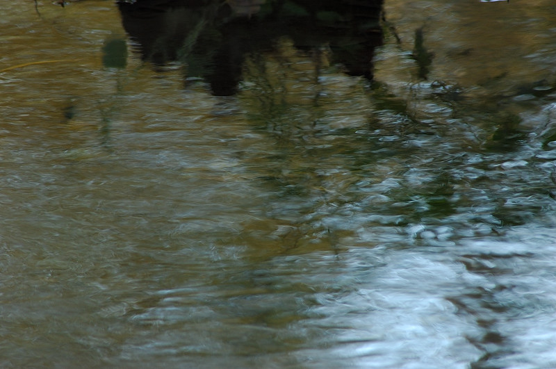 Dipingere con...l''acqua