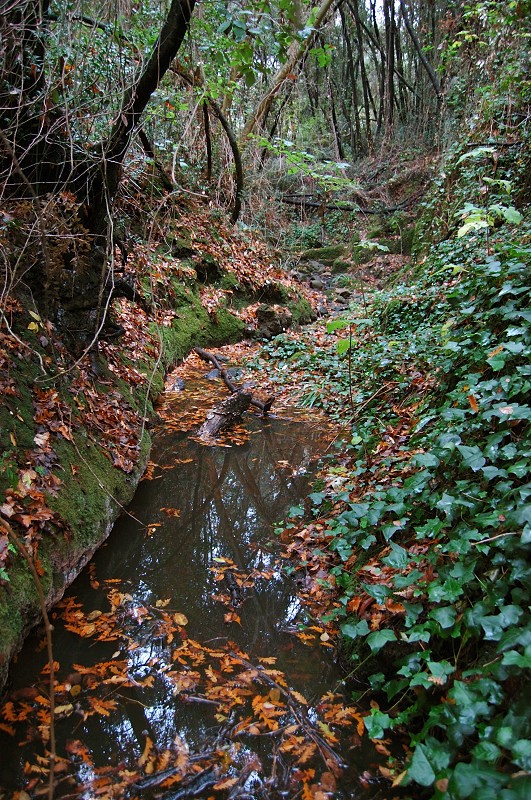 Nei pressi della necropoli di Cerveteri