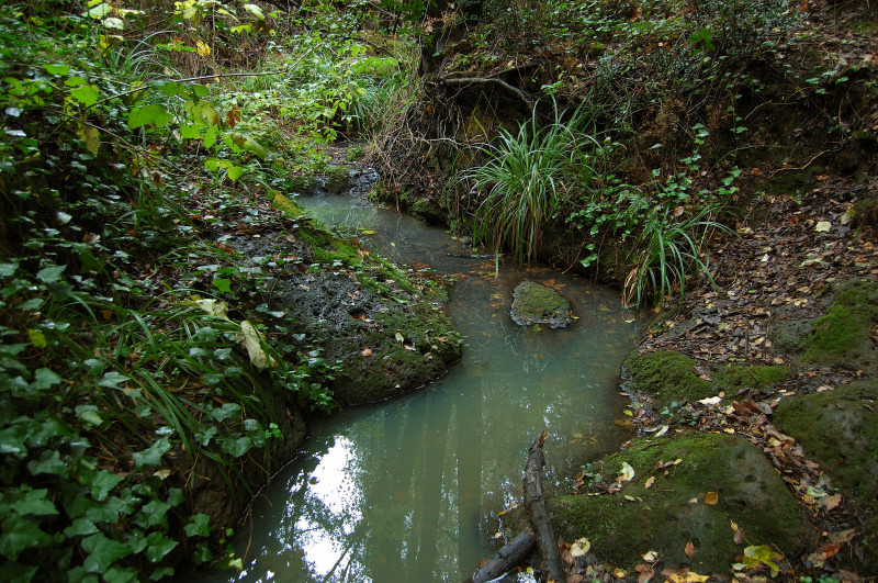 Nei pressi della necropoli di Cerveteri