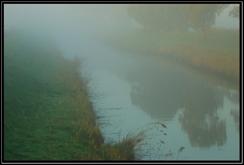 Nella nebbia..in un giorno qualunque