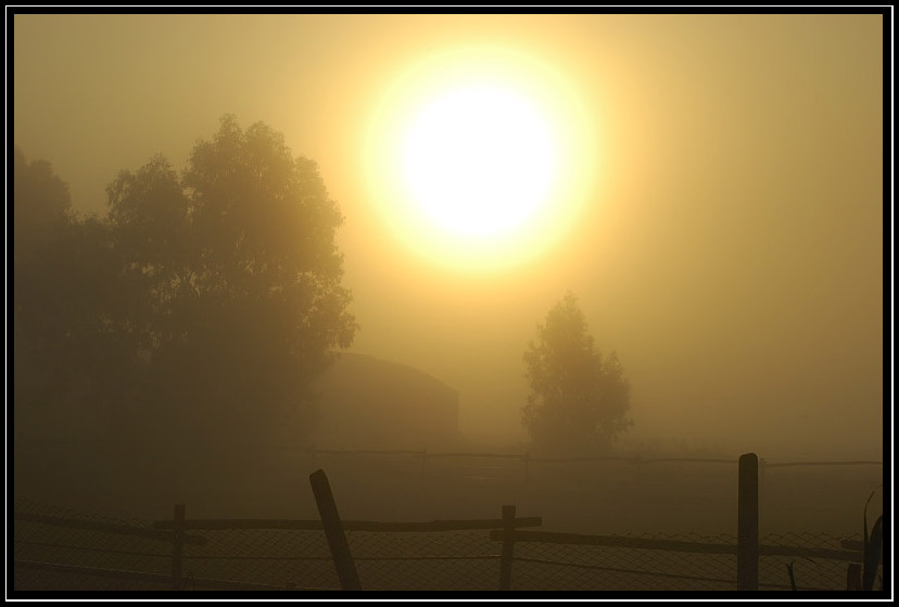 Nella nebbia..in un giorno qualunque