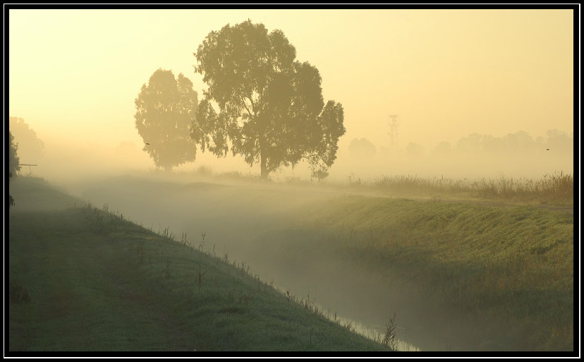 Nella nebbia..in un giorno qualunque