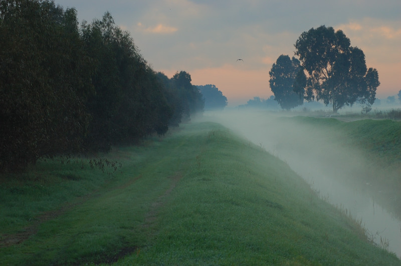 Nella nebbia..in un giorno qualunque